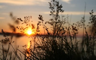 Finitudes